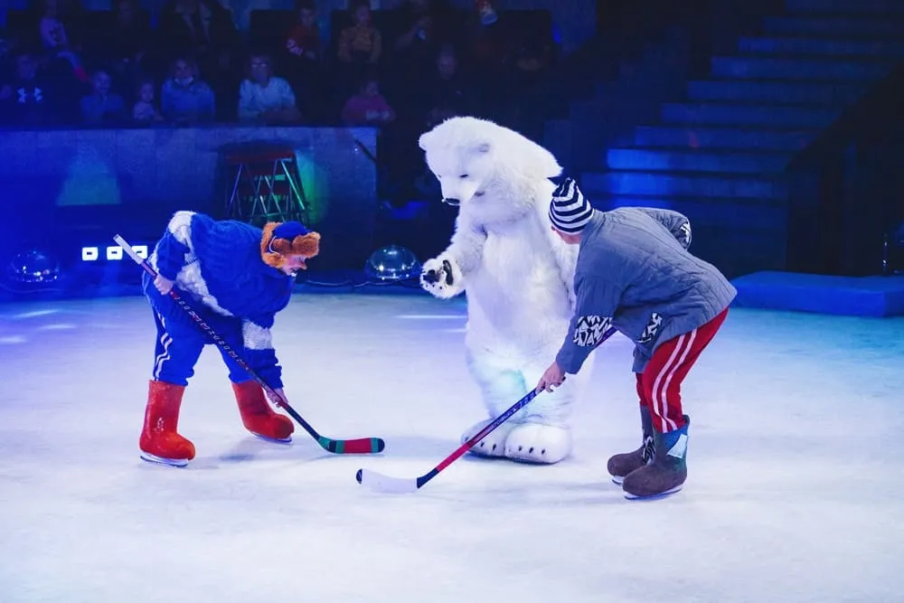 фотография - 5