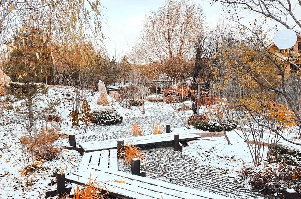 Экскурсия в «Ива-парке»