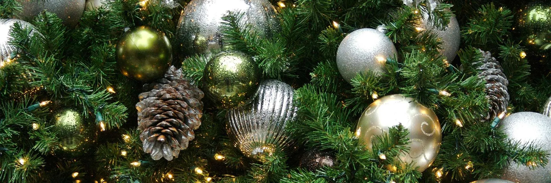 Новогодняя экскурсия по молодежной резиденции «Башня»