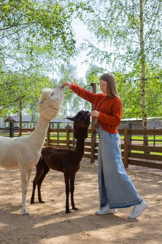 Парк альпак «Пача Мама» Парк альпак «Пача Мама»