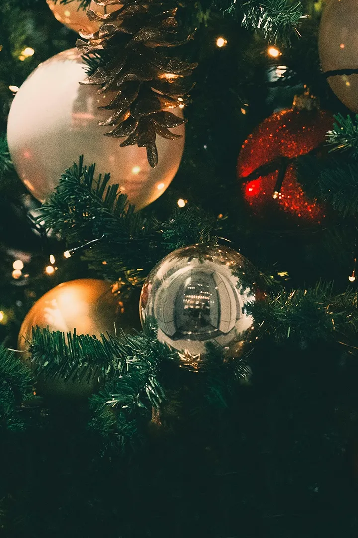 Новогодний поход с играми «99 ночей в лесу»