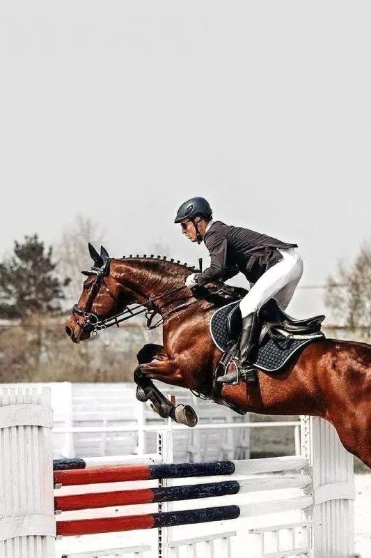 Конноспортивный клуб «Олимпия» Конноспортивный клуб «Олимпия»