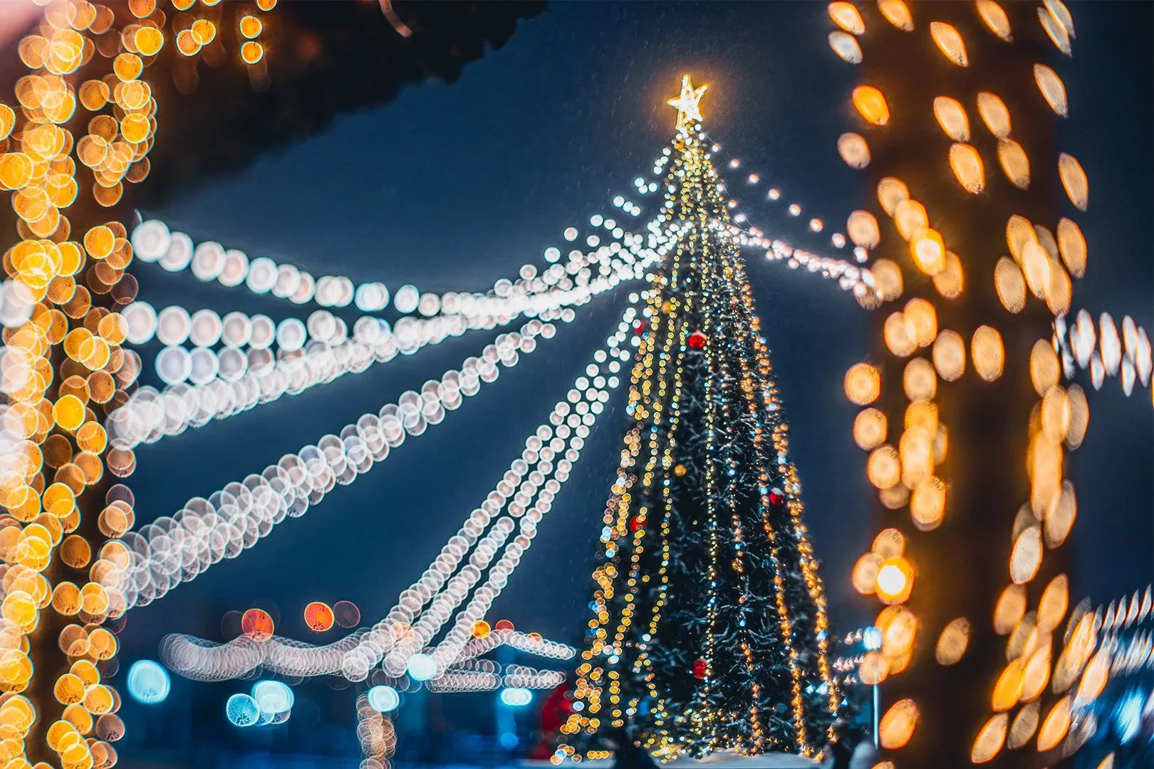 Автобусная экскурсия «Когда зажигаются елки»