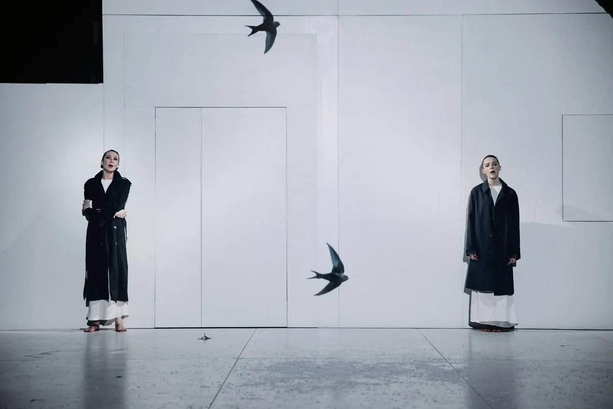 фотография - 4