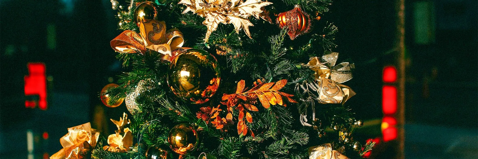 Новогодний квест «Дозор Мороза-воеводы»