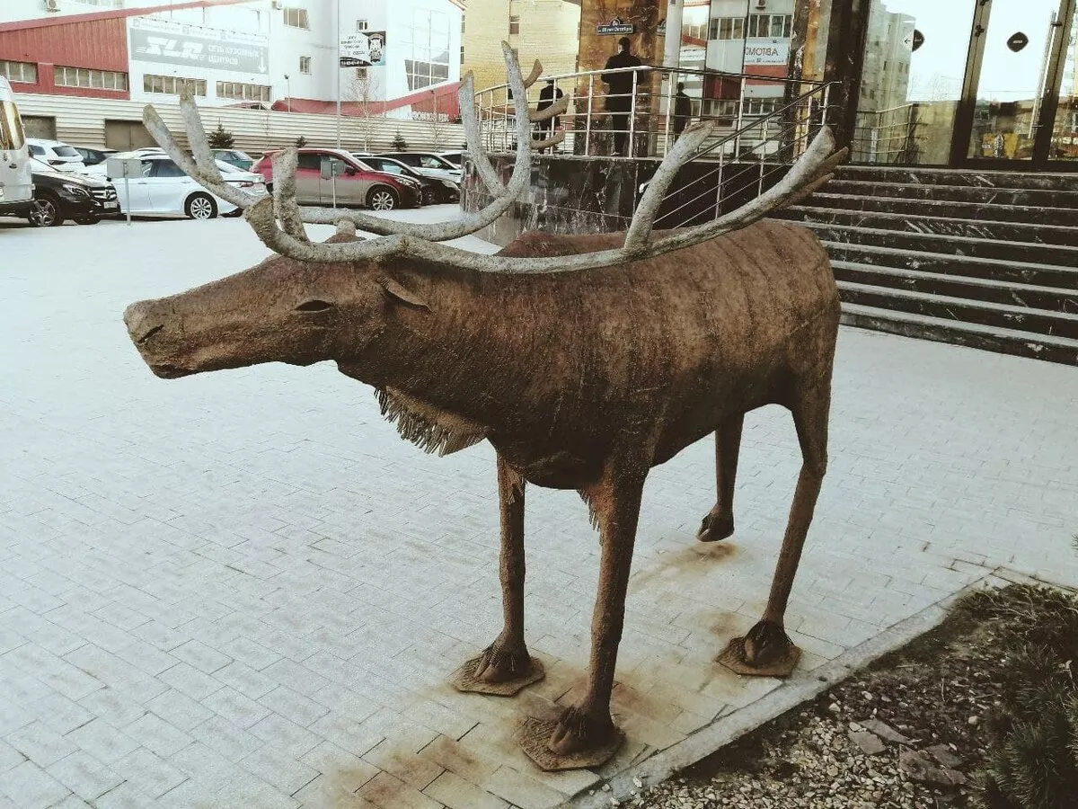 Звери5