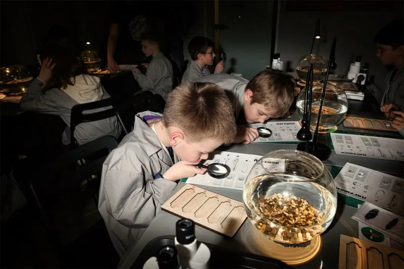 Детский научно-популярный проект Sciencely Детский научно-популярный проект Sciencely