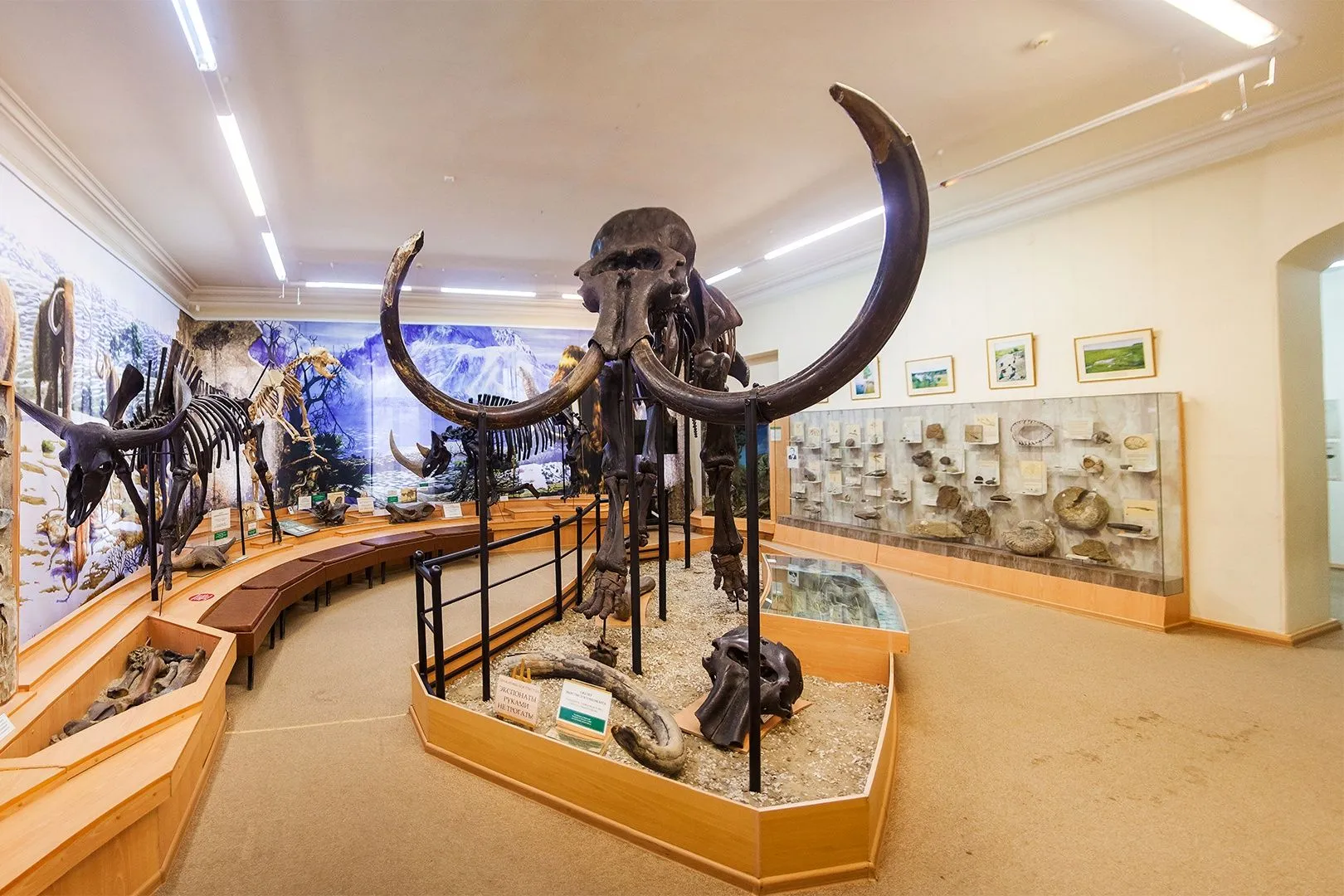 Экскурсия «Часы непосещения»