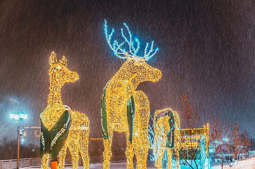 фотография - 5