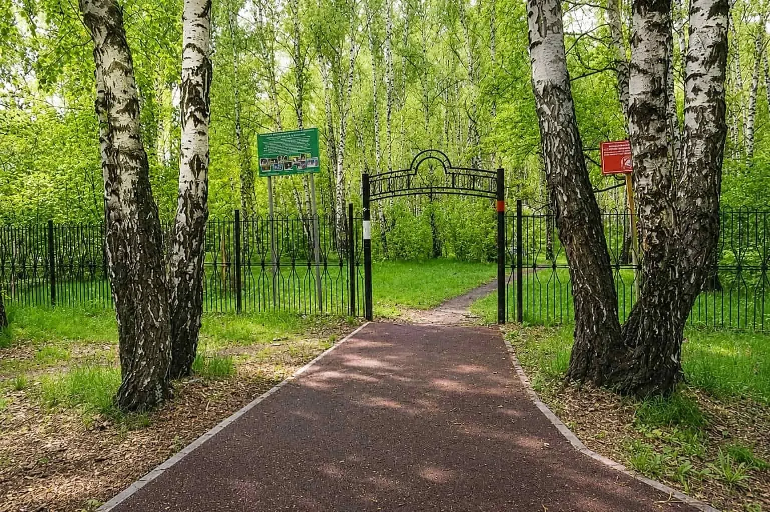 Без названия.jpg