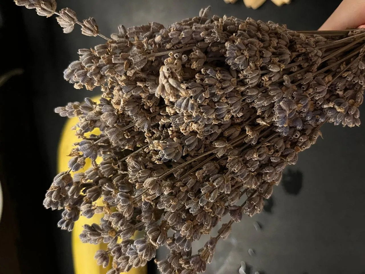 Банный комплекс «Шадринские бани»