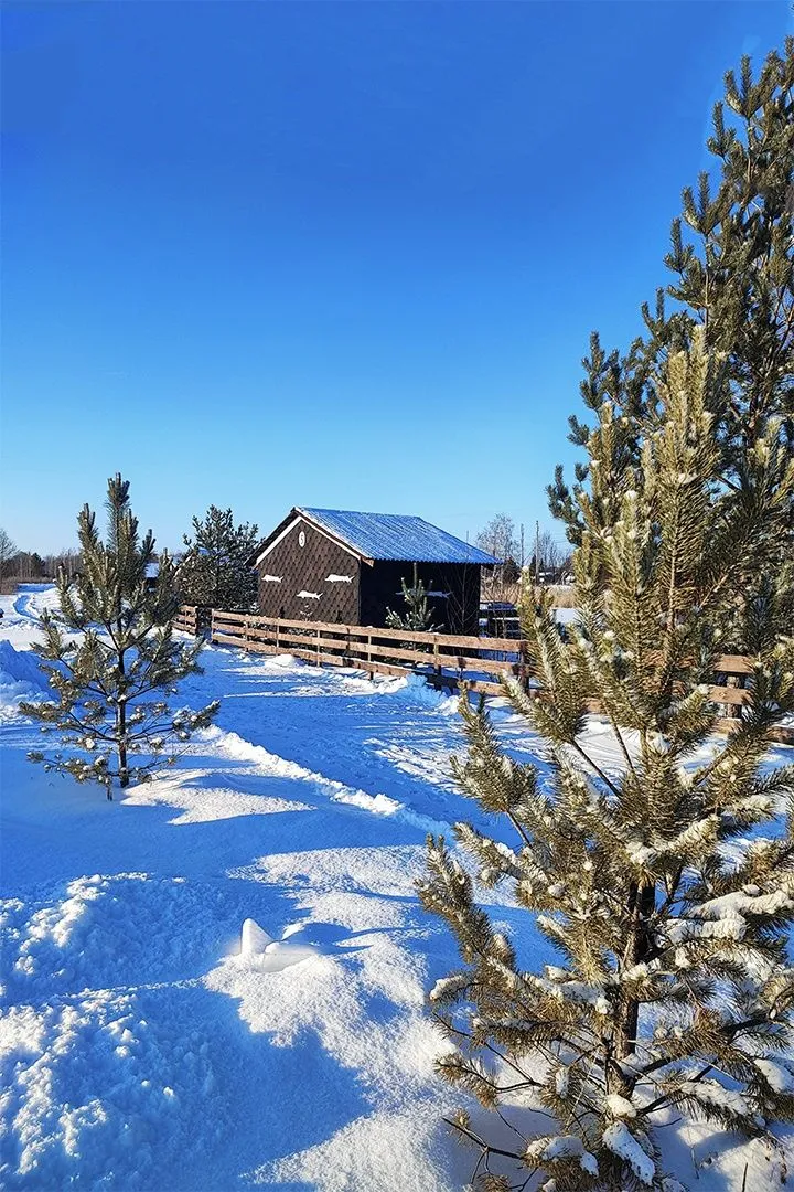 Территория семейного отдыха «Фишпарк»