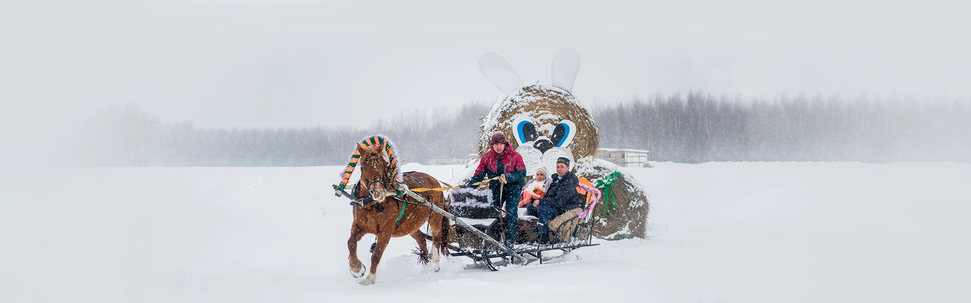 Новогодняя программа в «Золотой подкове»