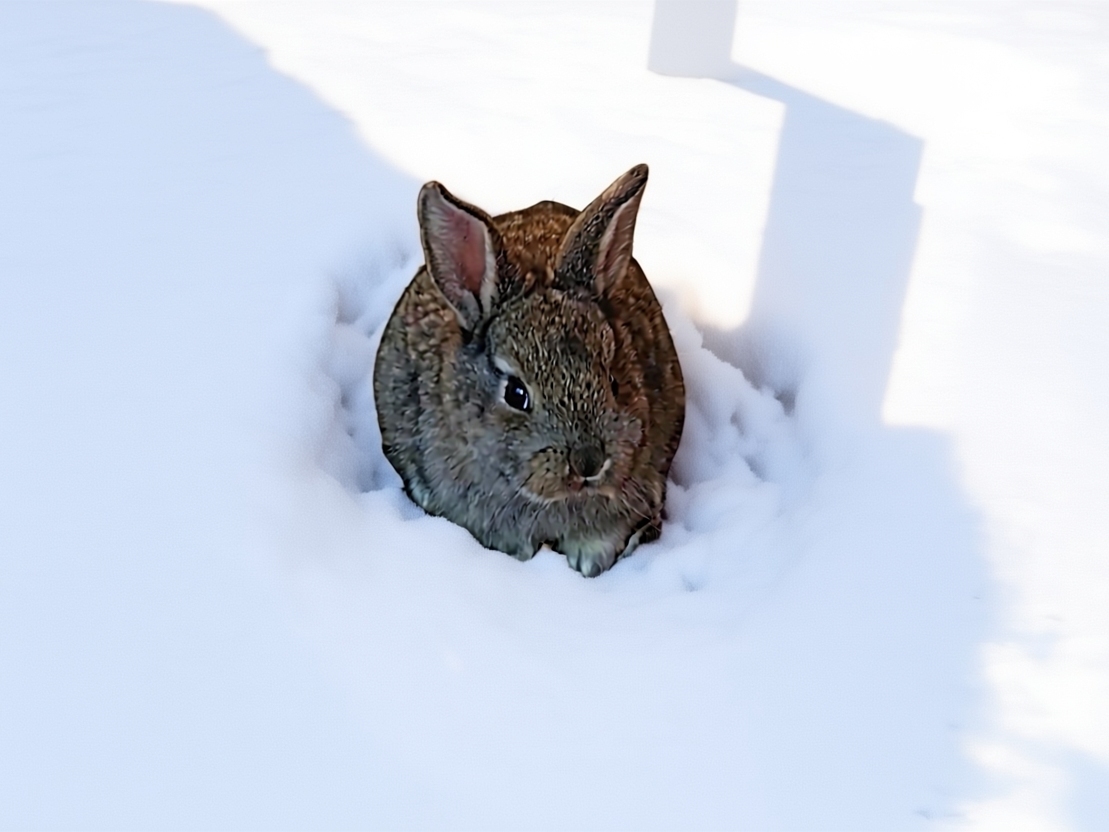 Экскурсия с пикником в дом-музей русских пород лошадей «Хуторъ» - картинка 1 Экскурсия с пикником в дом-музей русских пород лошадей «Хуторъ» - картинка 1