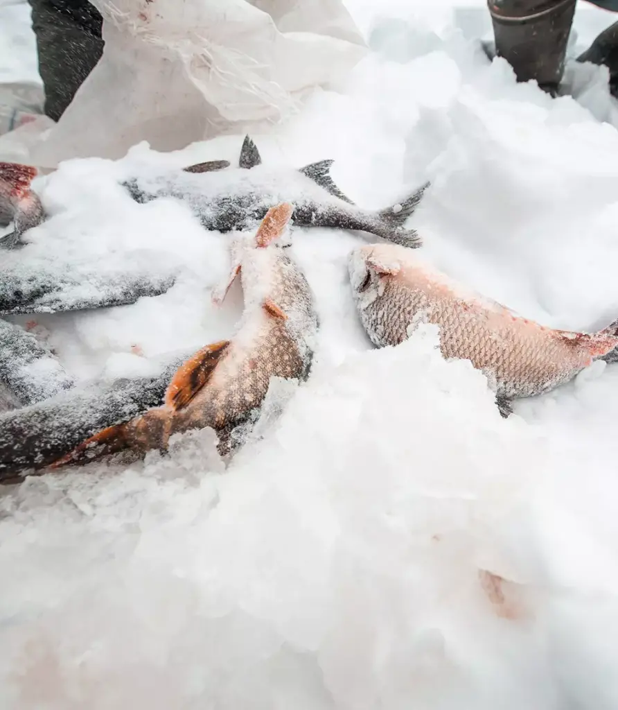 Повара на колесах Тоб 2-3