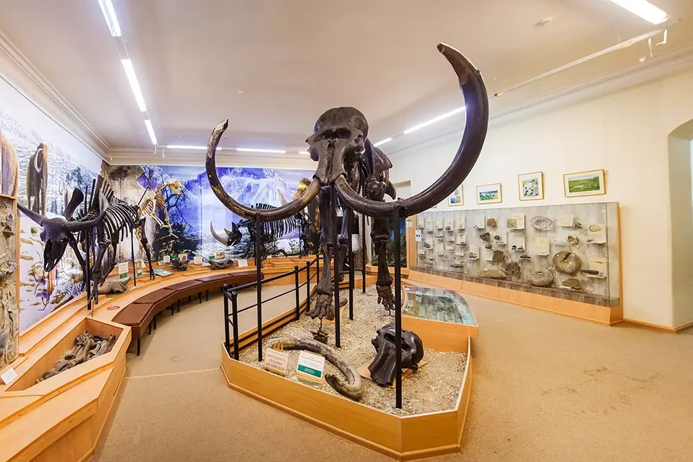 Музей «Городская дума»