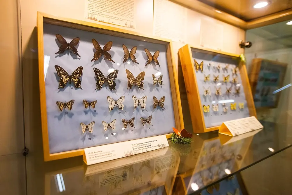 Музей «Городская дума»