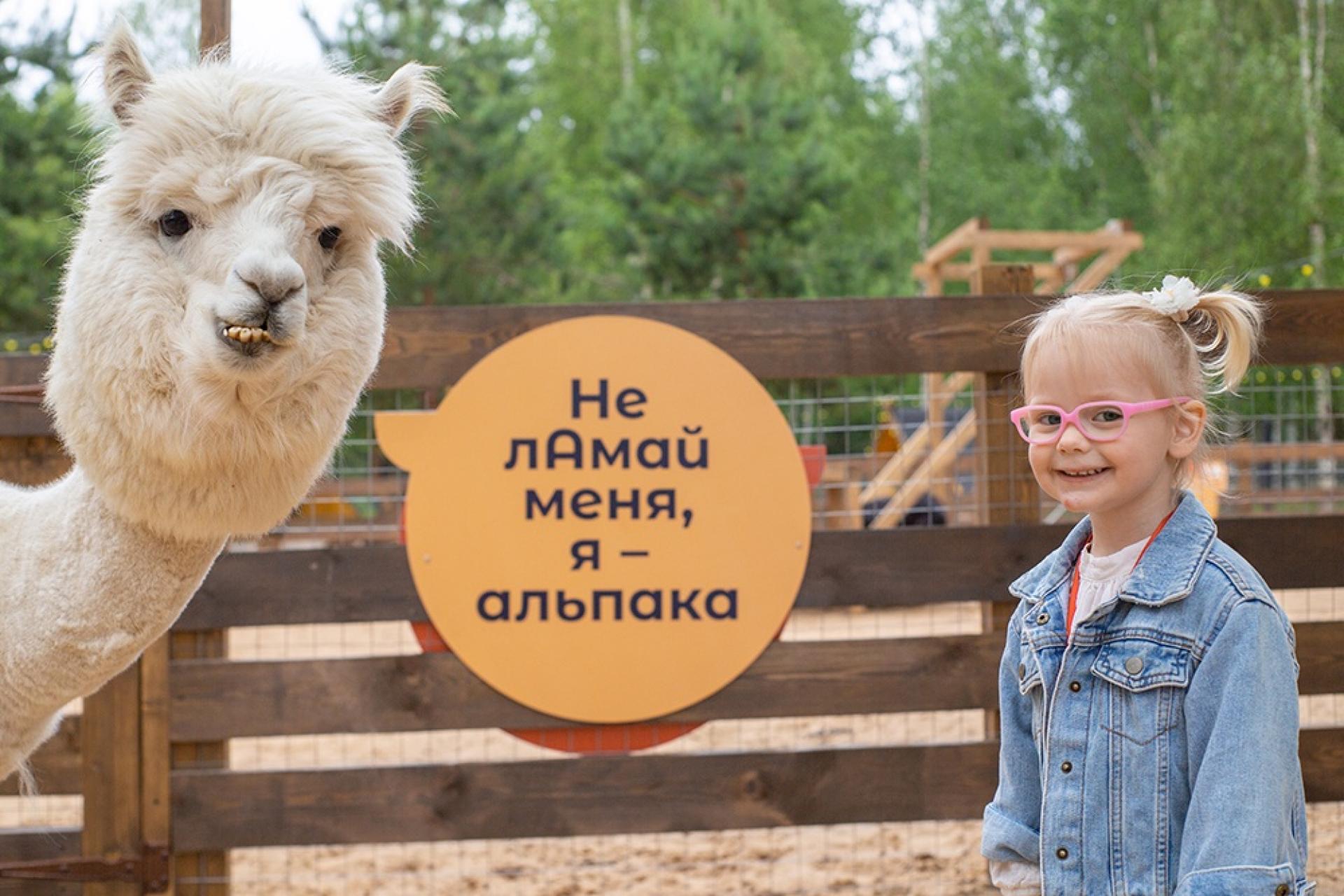 Парк альпак «Пача Мама»