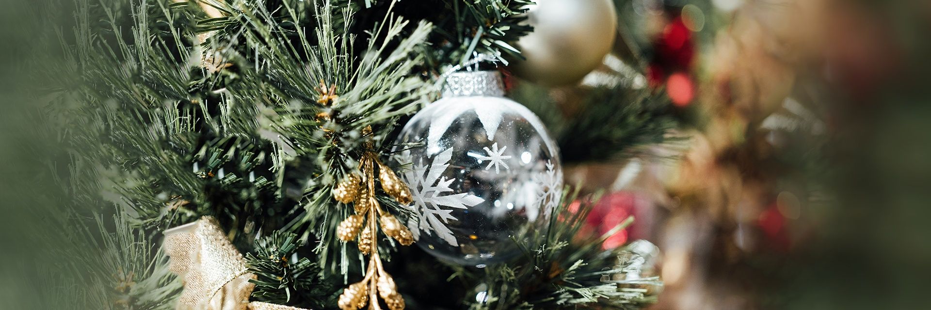 Спектакли от театра «Куклы Кузиных»