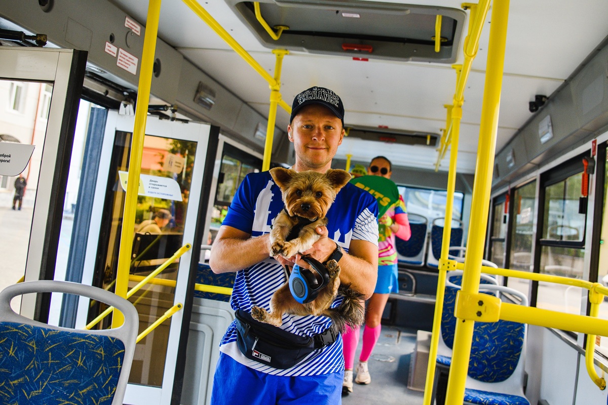 фотография - 1