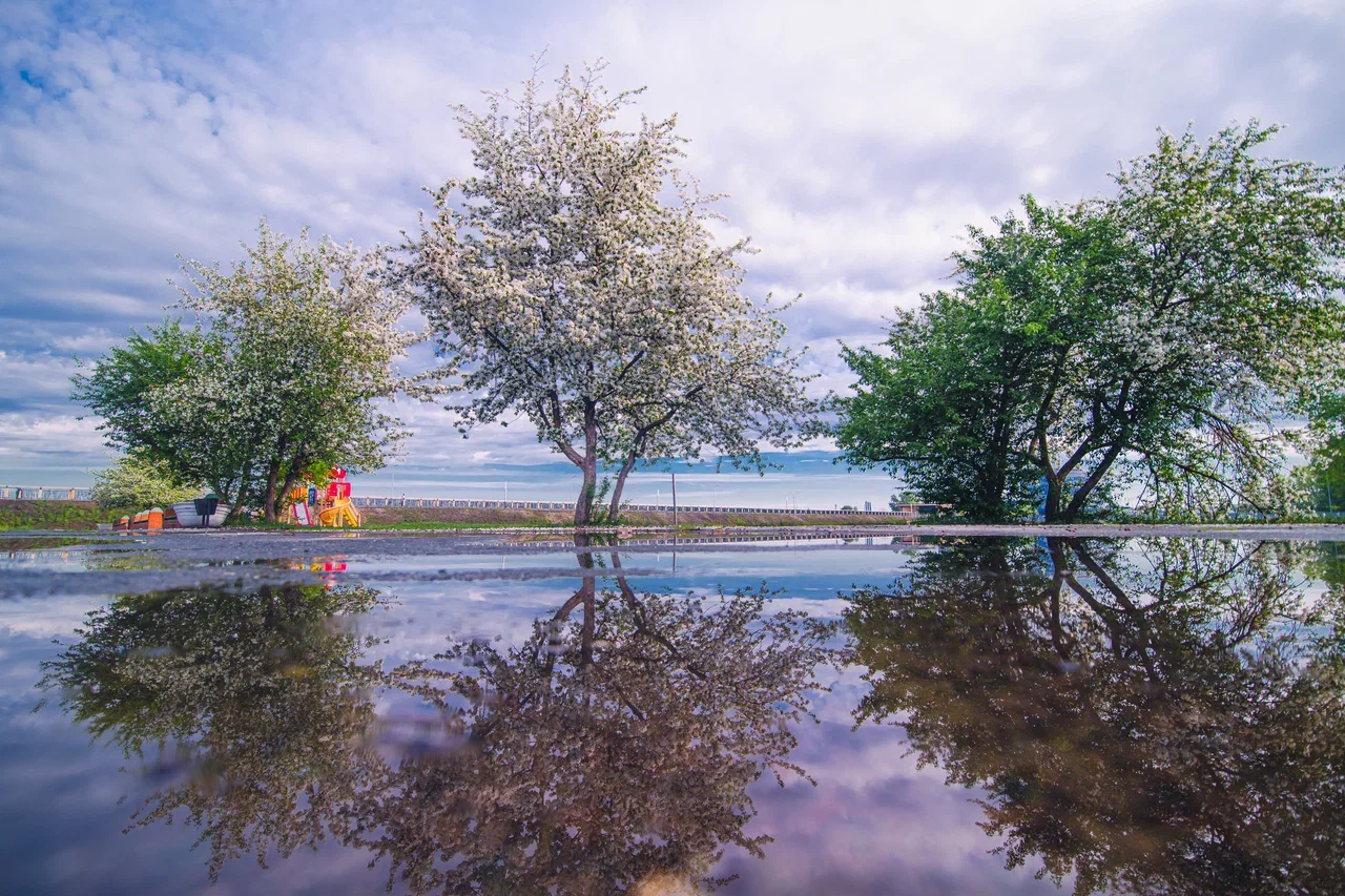 Парк Заречный