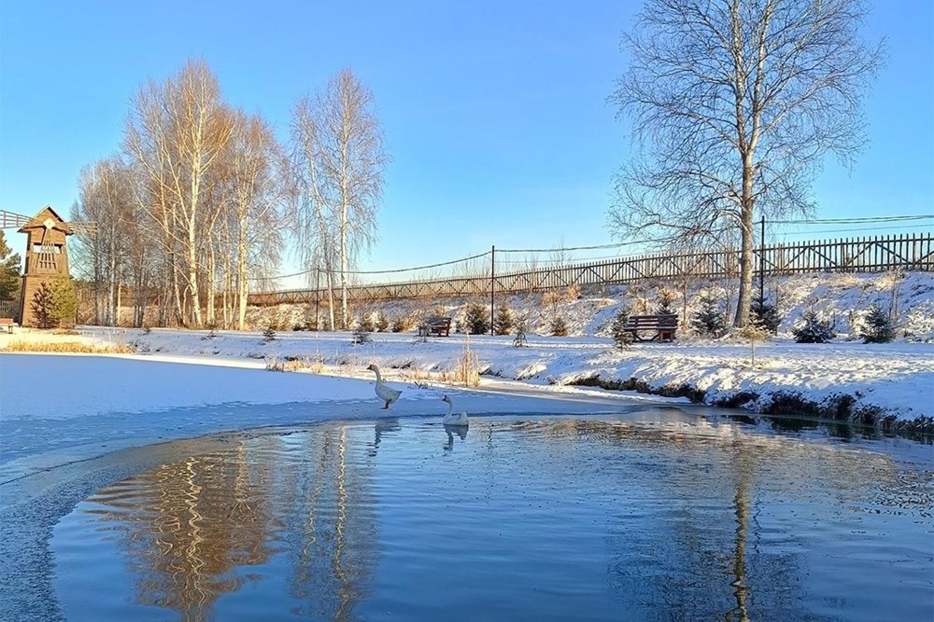 База отдыха «Пикник»