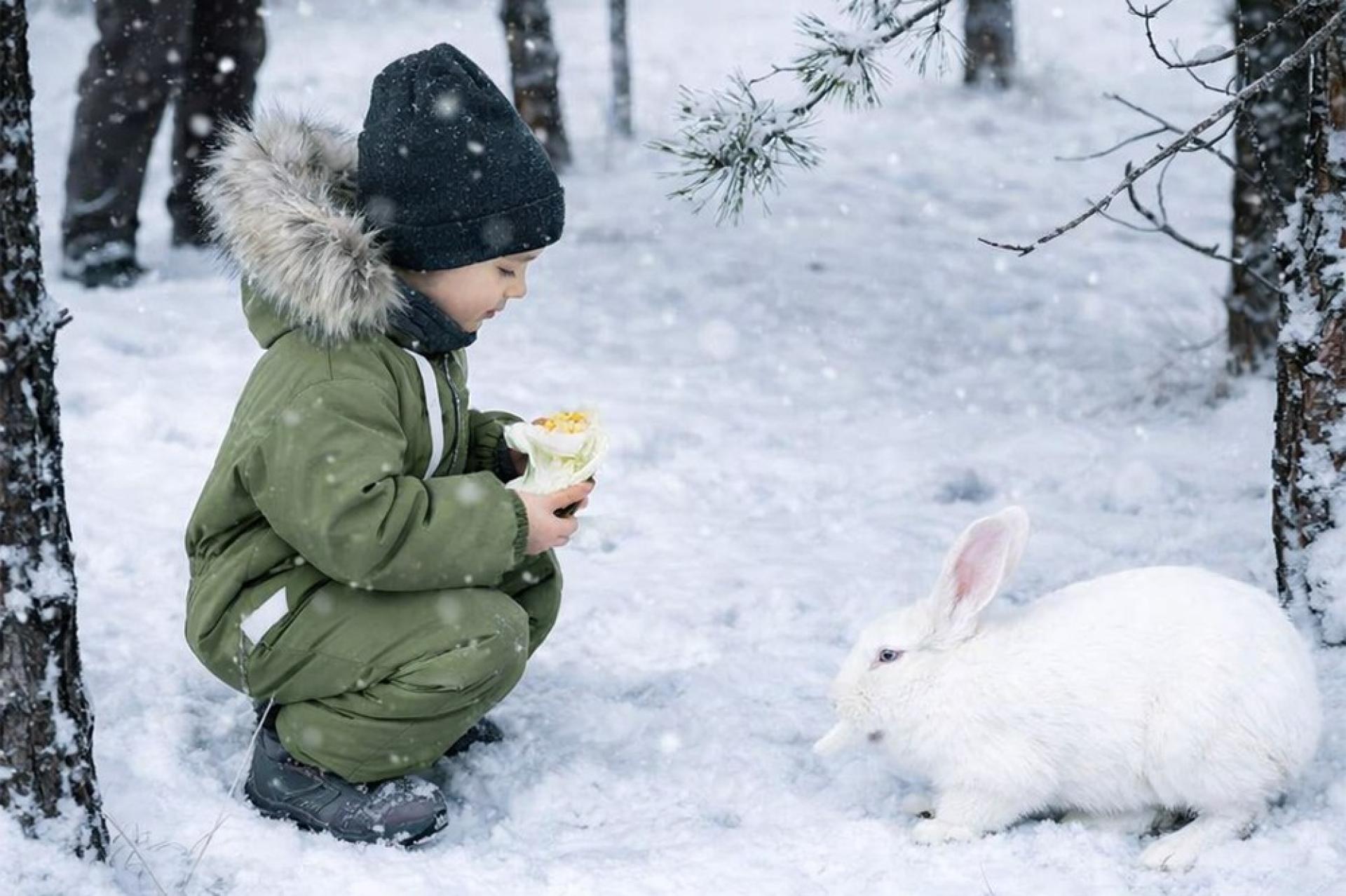 База отдыха Live Drive Village