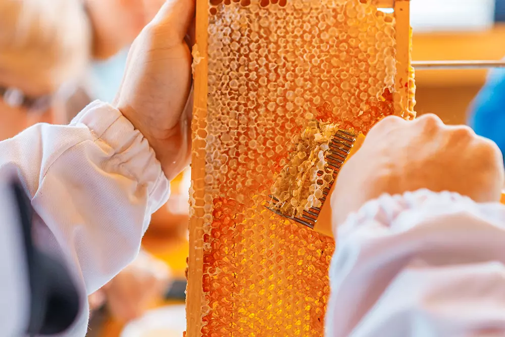 семь деревень 2