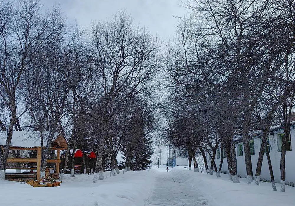 Экскурсия по конноспортивному клубу «Олимпия» - картинка 1