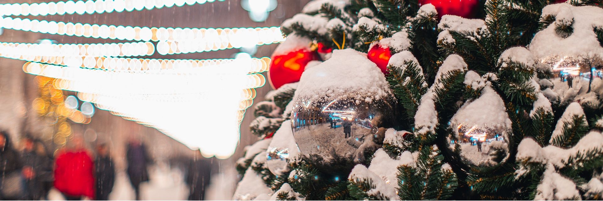 Автобусная экскурсия «Когда зажигаются елки»