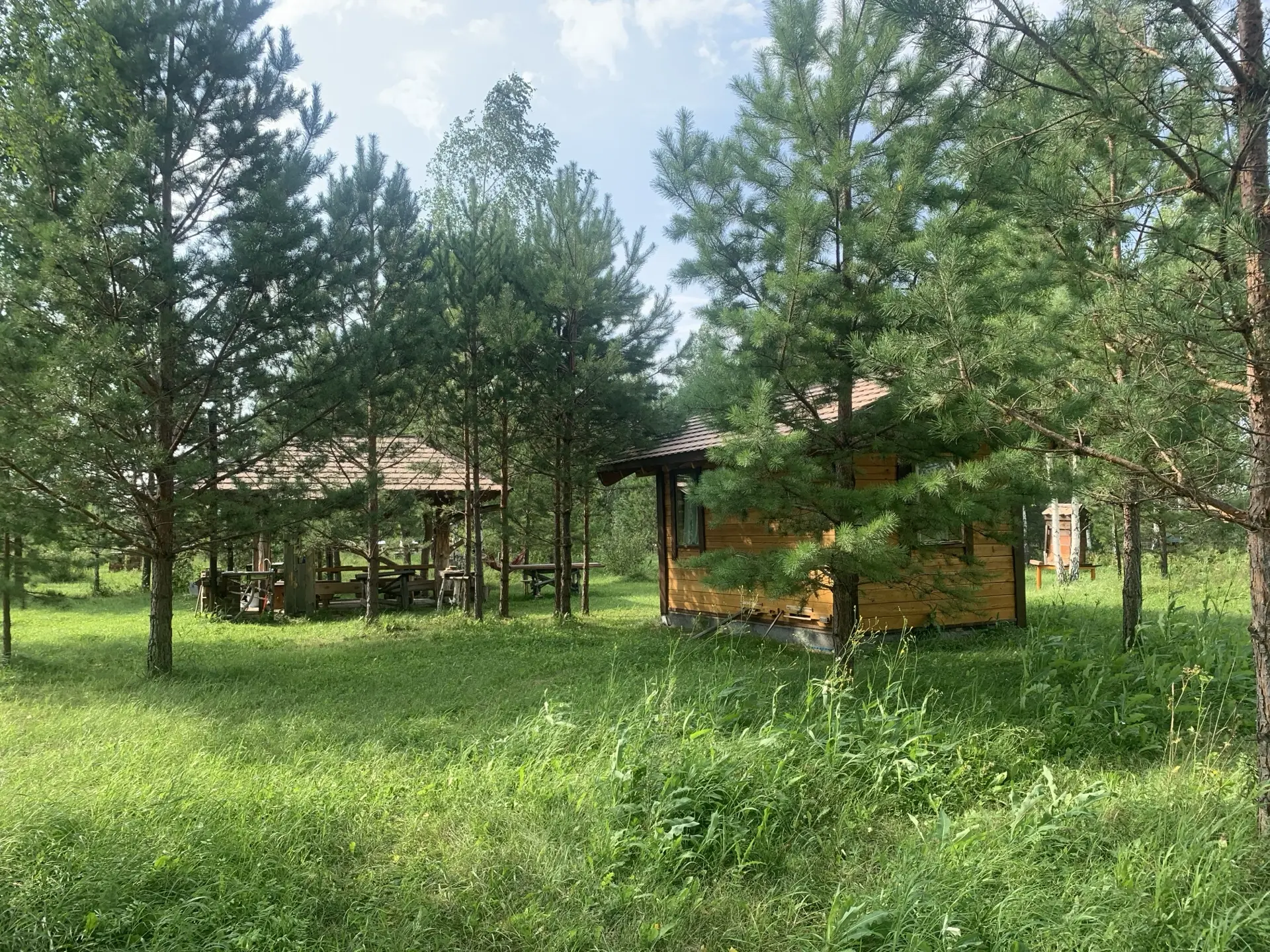«Родная пасека»