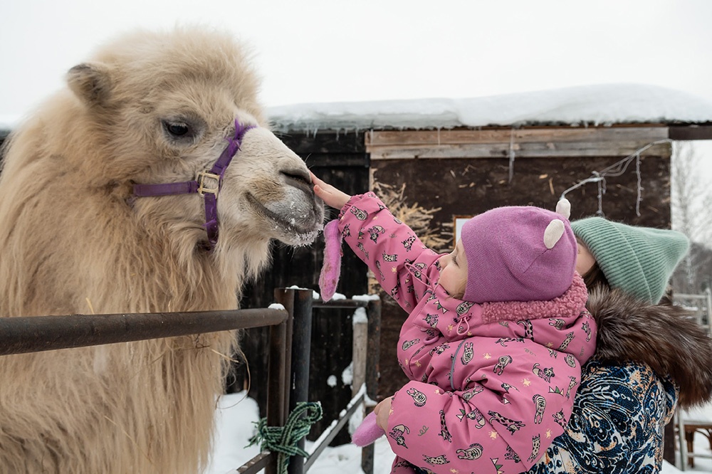 фотография - 2