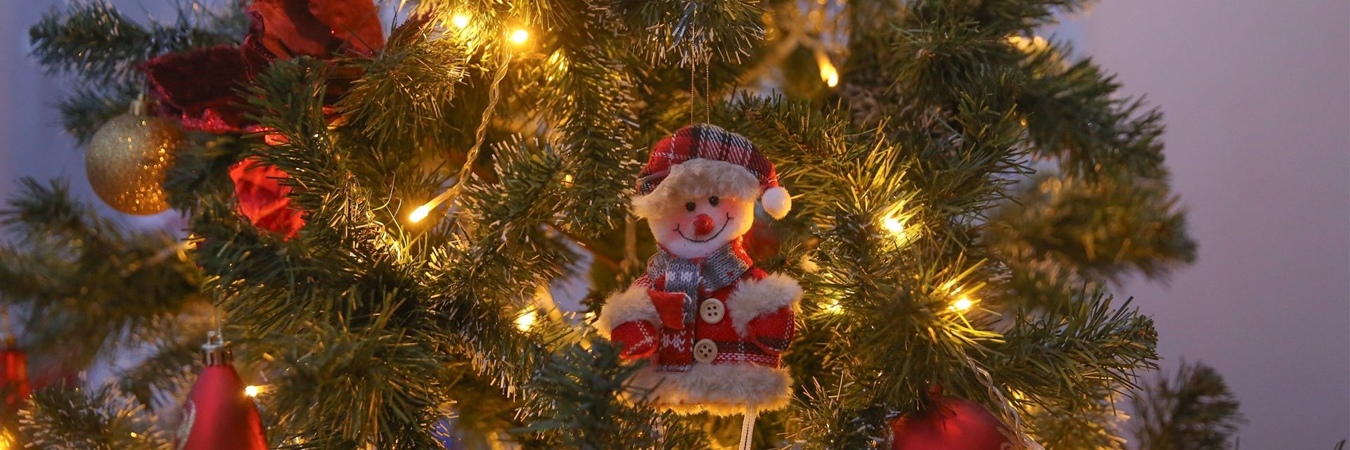 Резиденция Деда Мороза в Тобольске