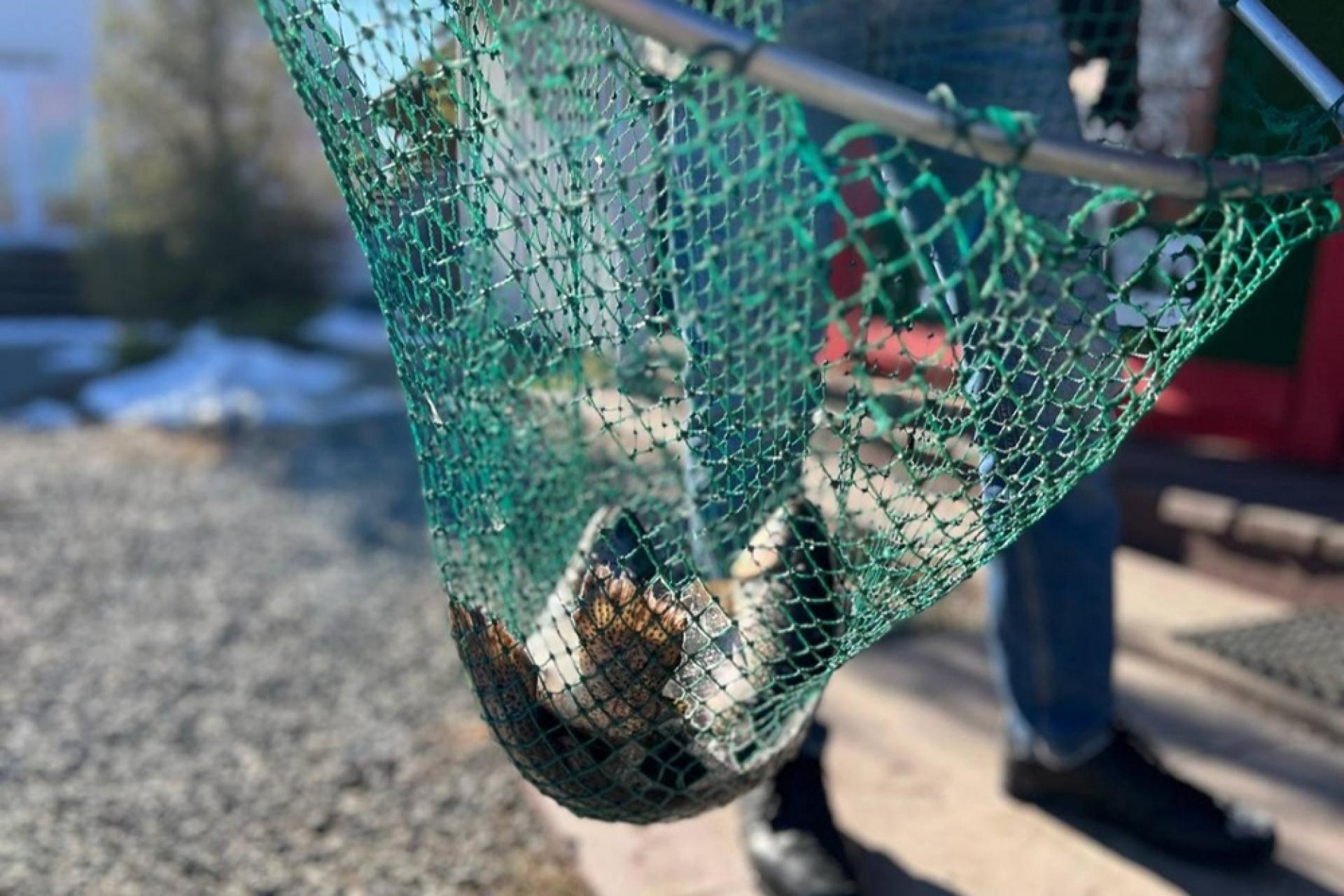 Территория семейного отдыха «Фишпарк»