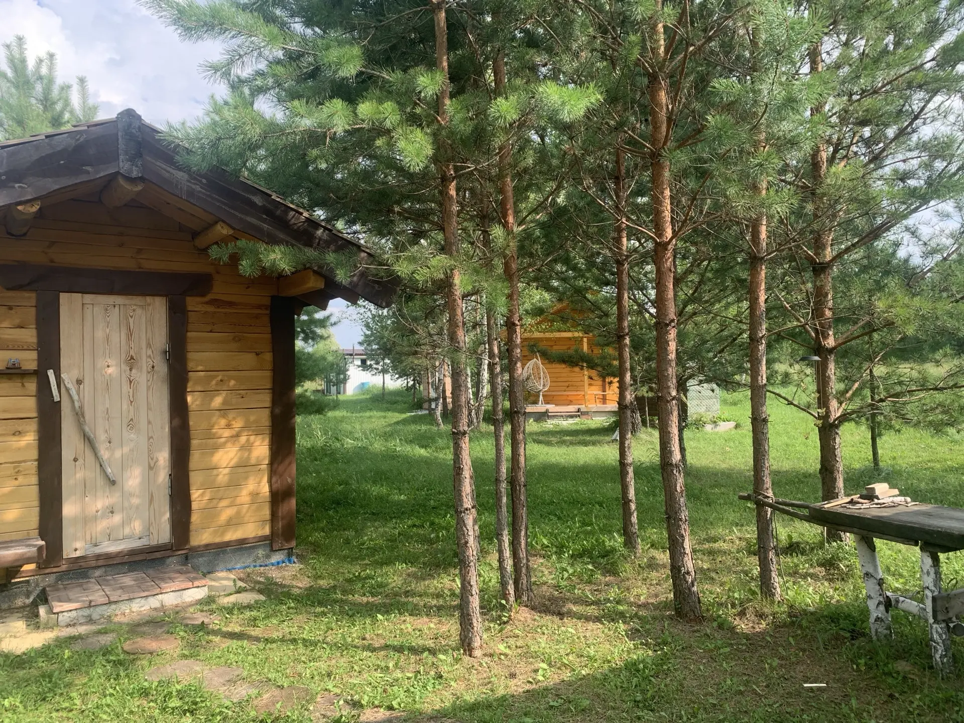 «Родная пасека»