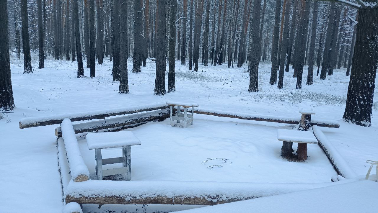 Семейный поход с игрой «99 ночей» - картинка 1