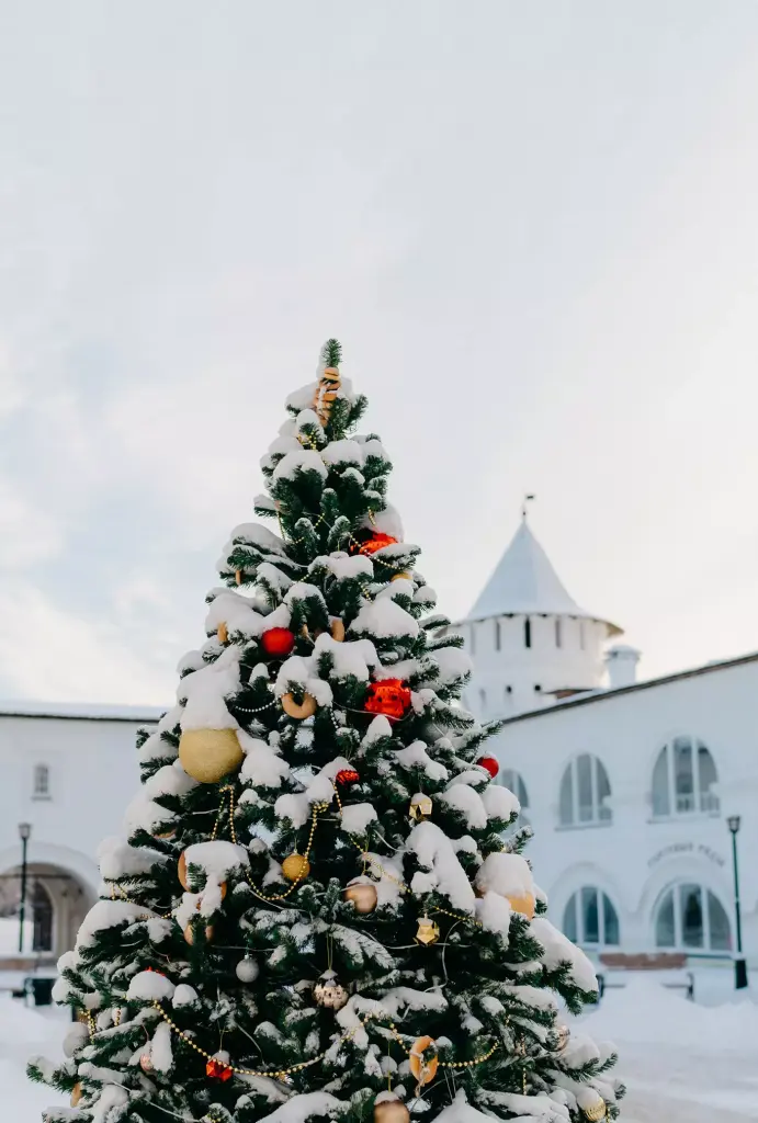 Кремль 2 (зима)