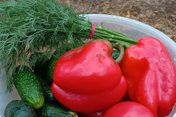 Семейный поход с игрой «99 ночей» - картинка 1