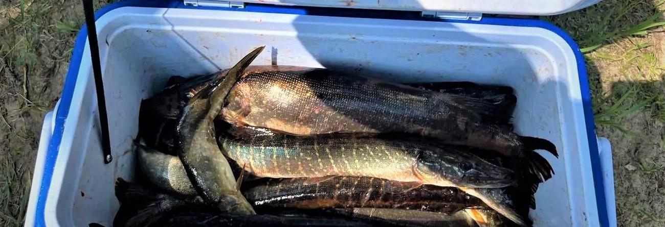 База отдыха «Уки»