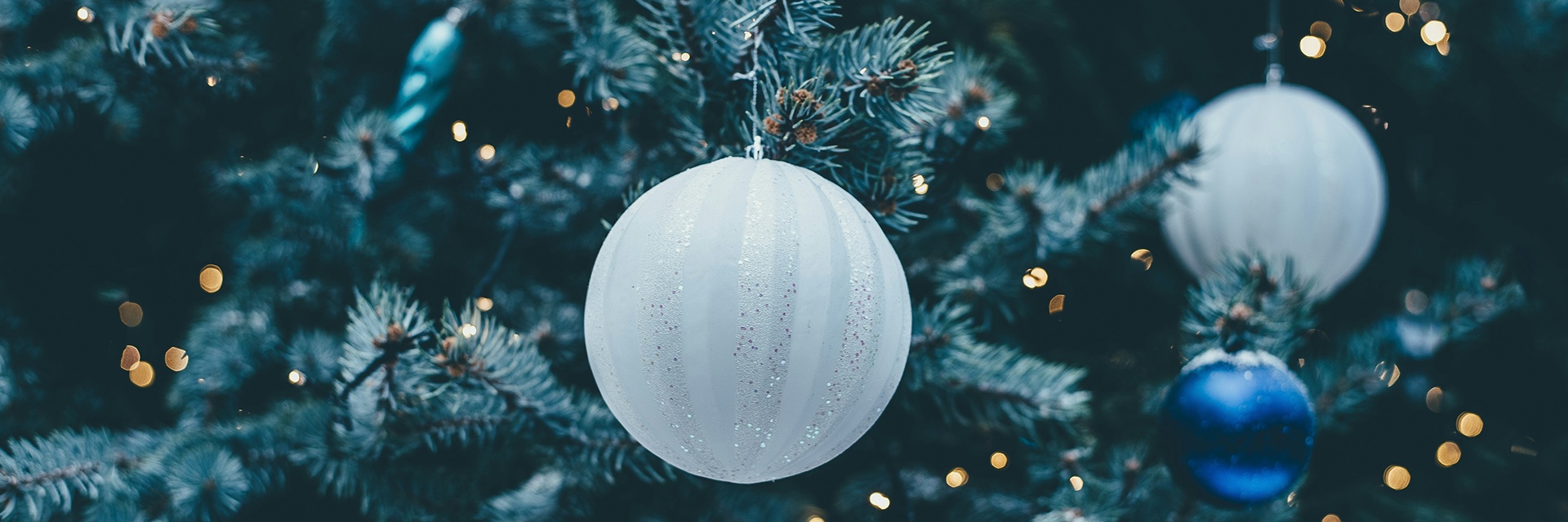 Новогодняя программа на хуторе «Владимирский»