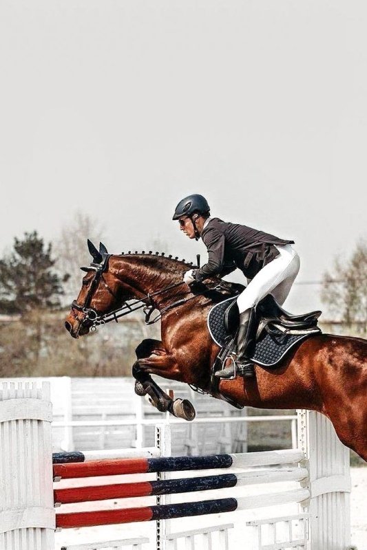 Конноспортивный клуб «Олимпия»