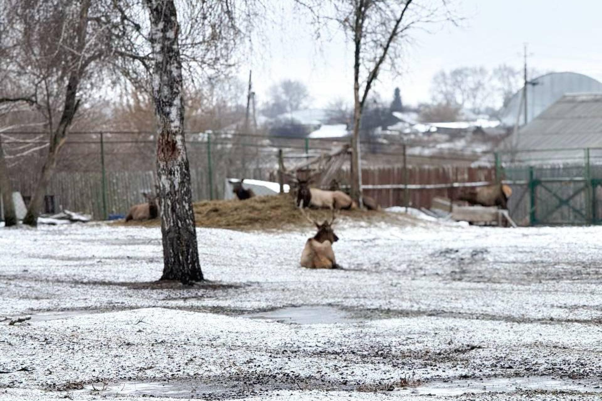 База отдыха «Акватория»