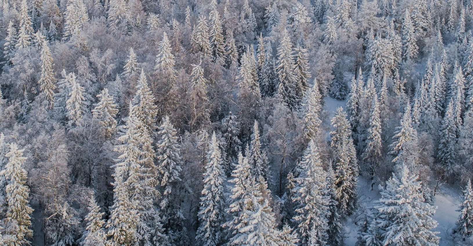 Санатории и курорты