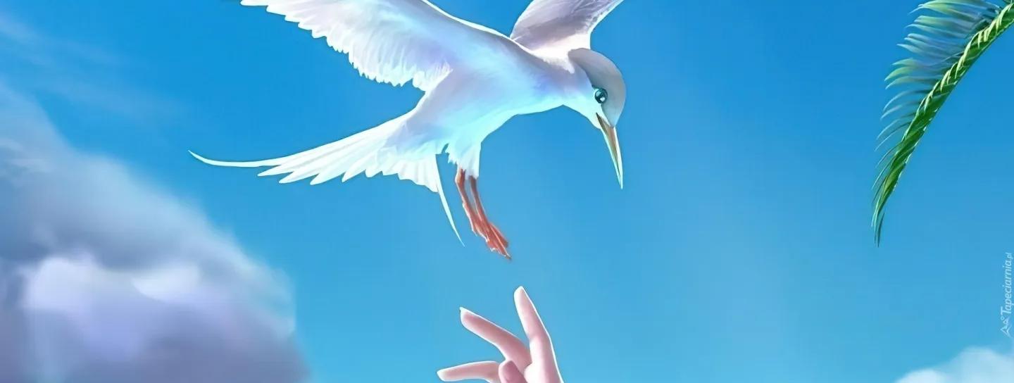 Спектакль «Чайка, которая живет в каждом из нас»