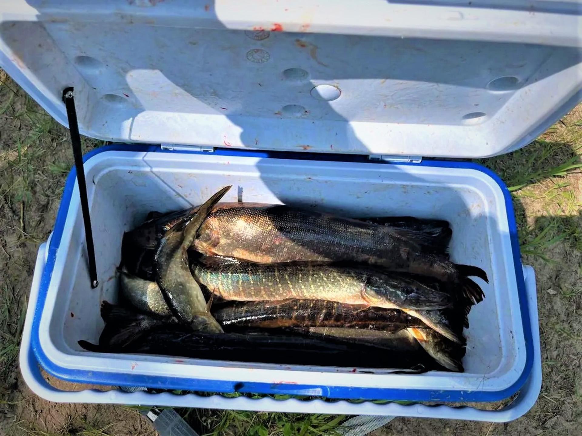 База отдыха «Уки»