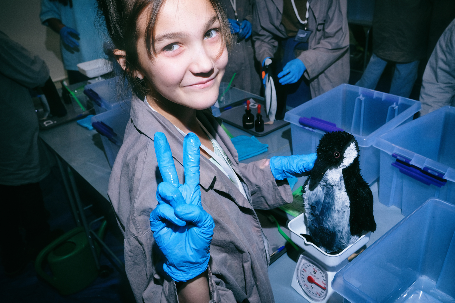 Интерактивная программа для детей «Спасти планету»