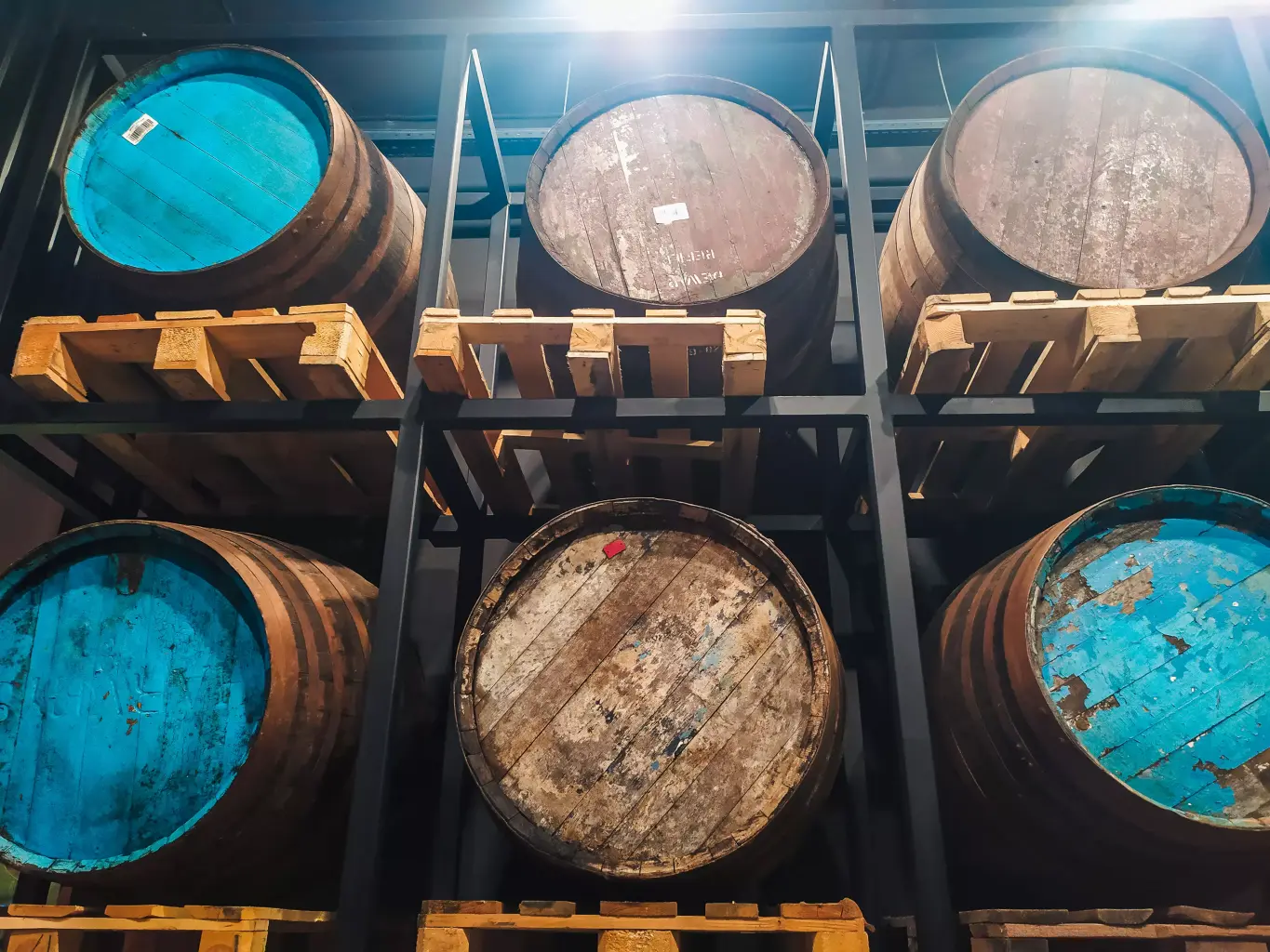 ермолаев-3-1