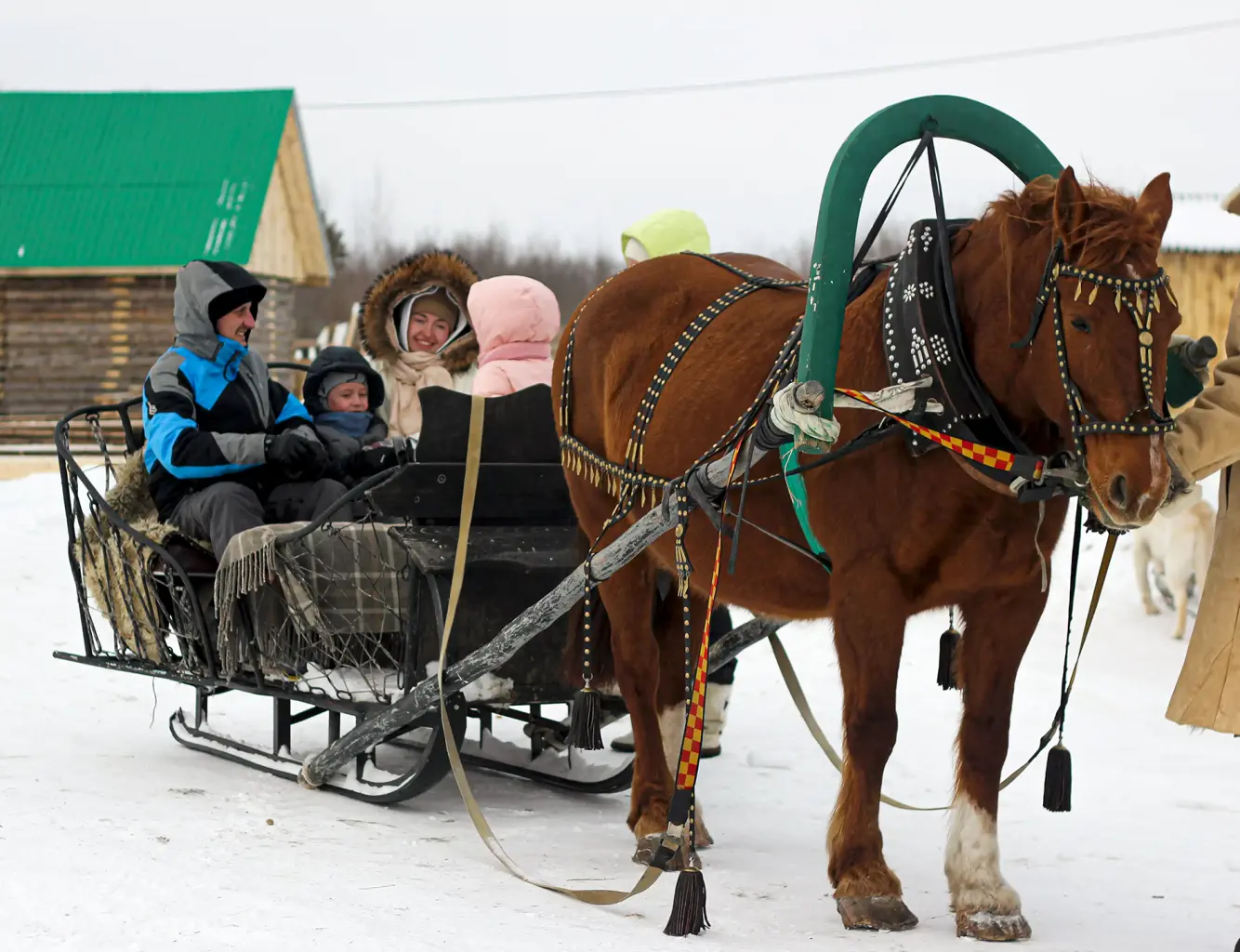 подкова тоб 