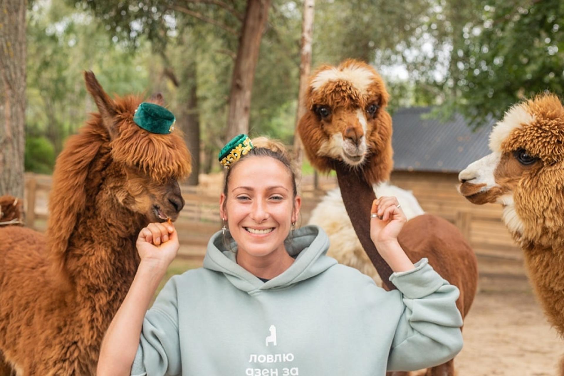 Парк альпак «Пача Мама»