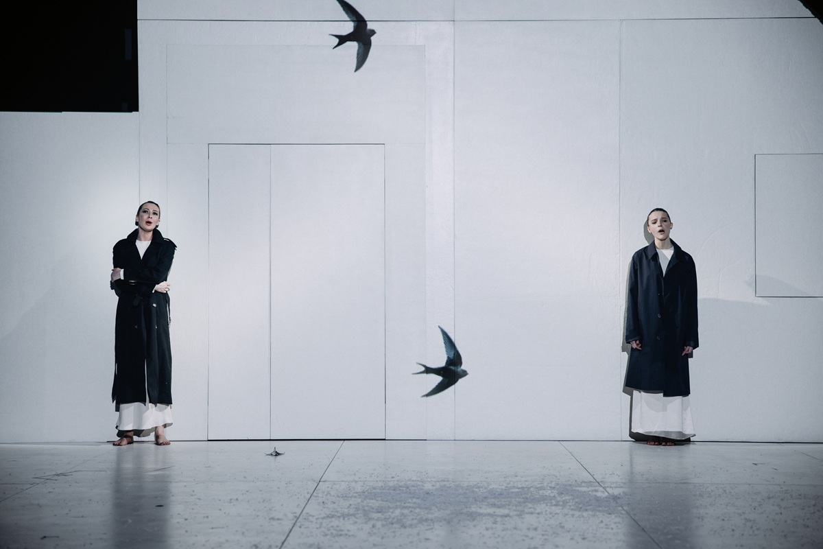 фотография - 4